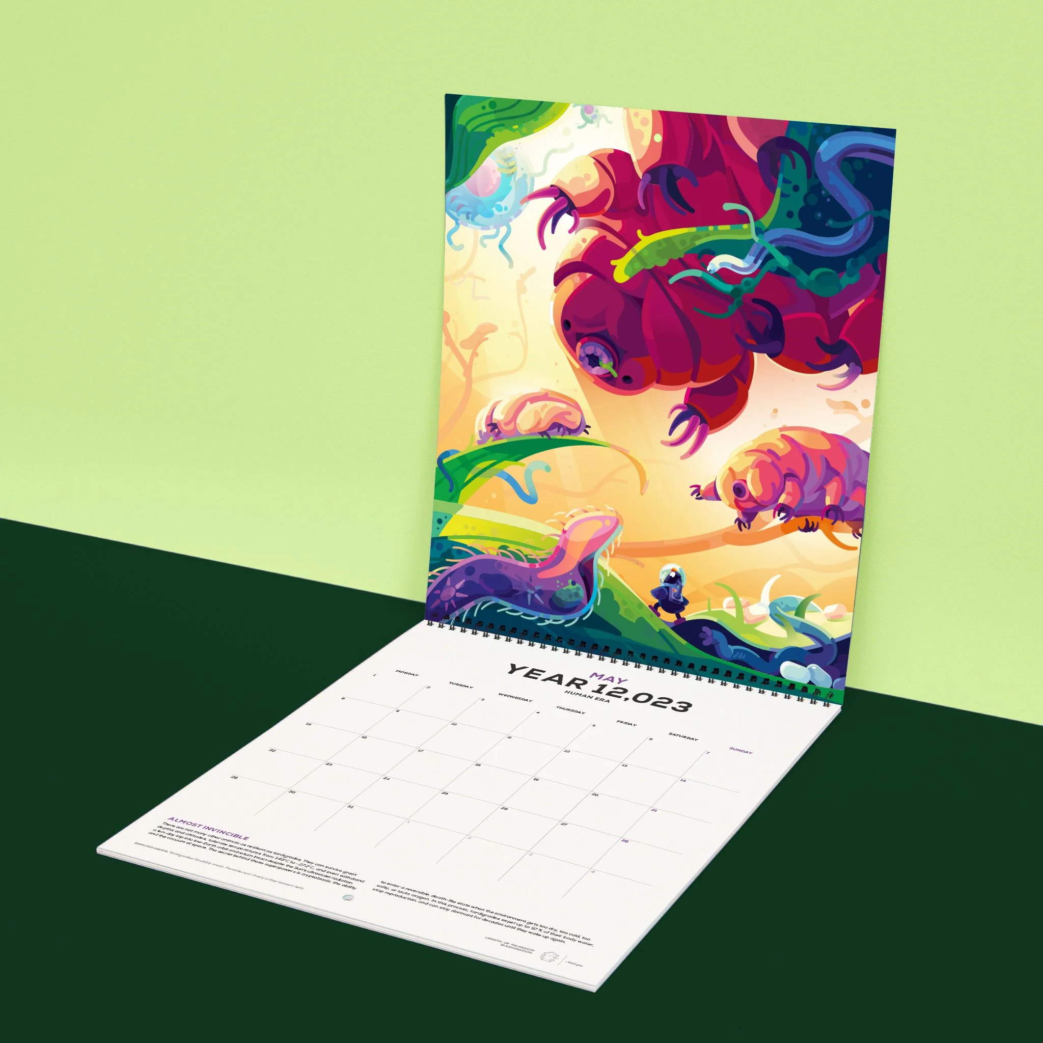 12,023 Human Era Calendar - Image 4