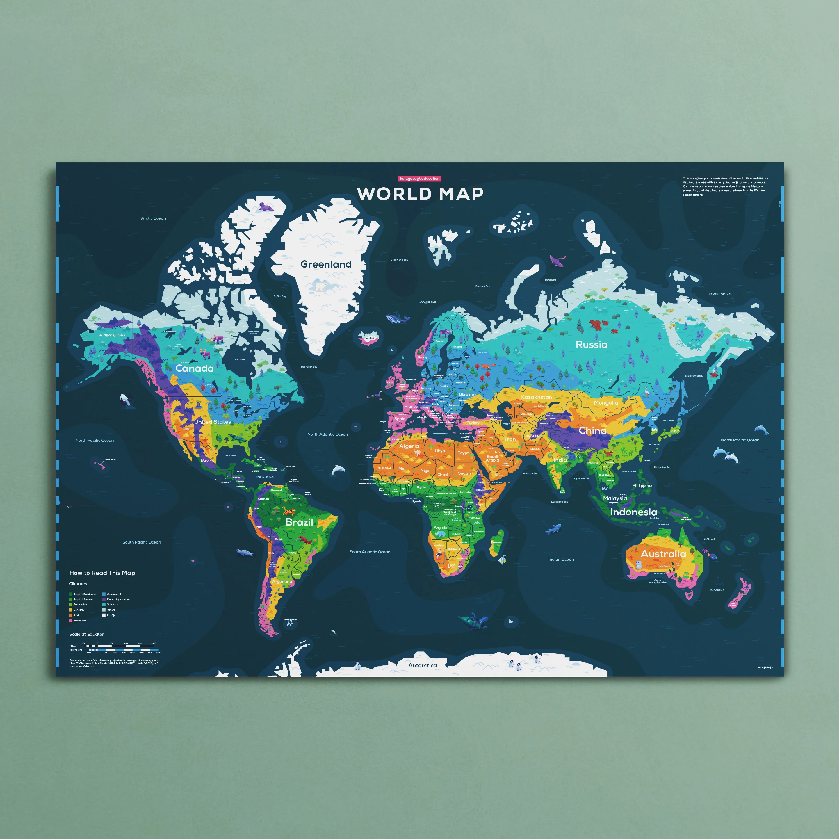 Education Edition Poster Bundle - Image 3