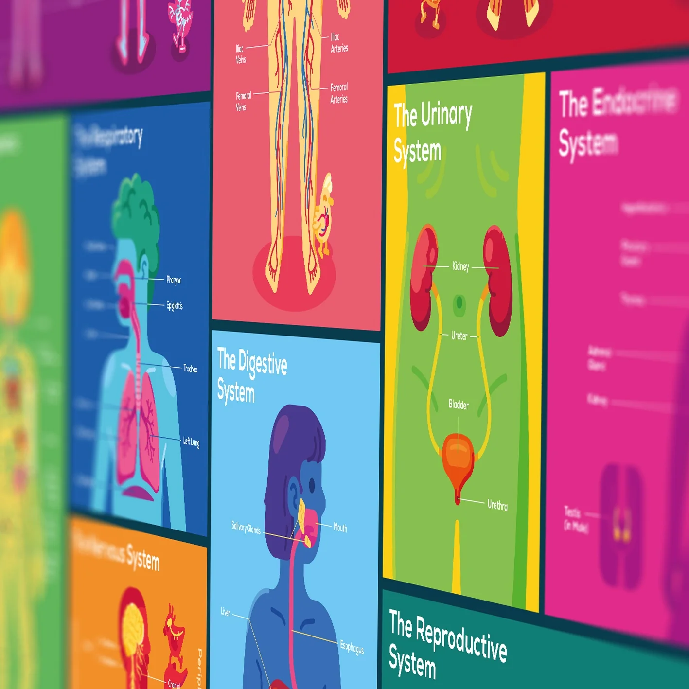 Education Edition Poster Bundle (4 Pack) - Image 3