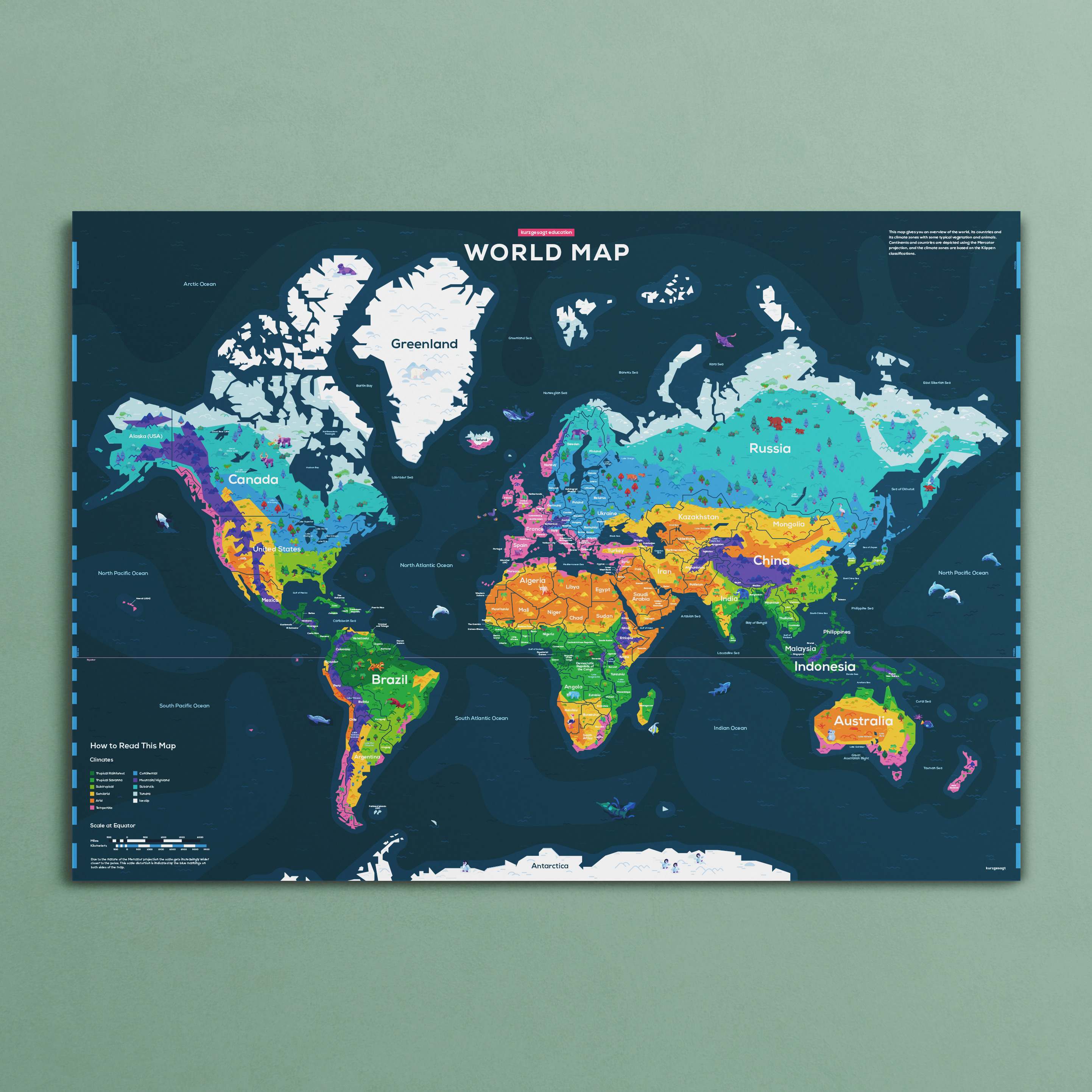 Education Edition Poster Bundle (4 Pack) - Image 8