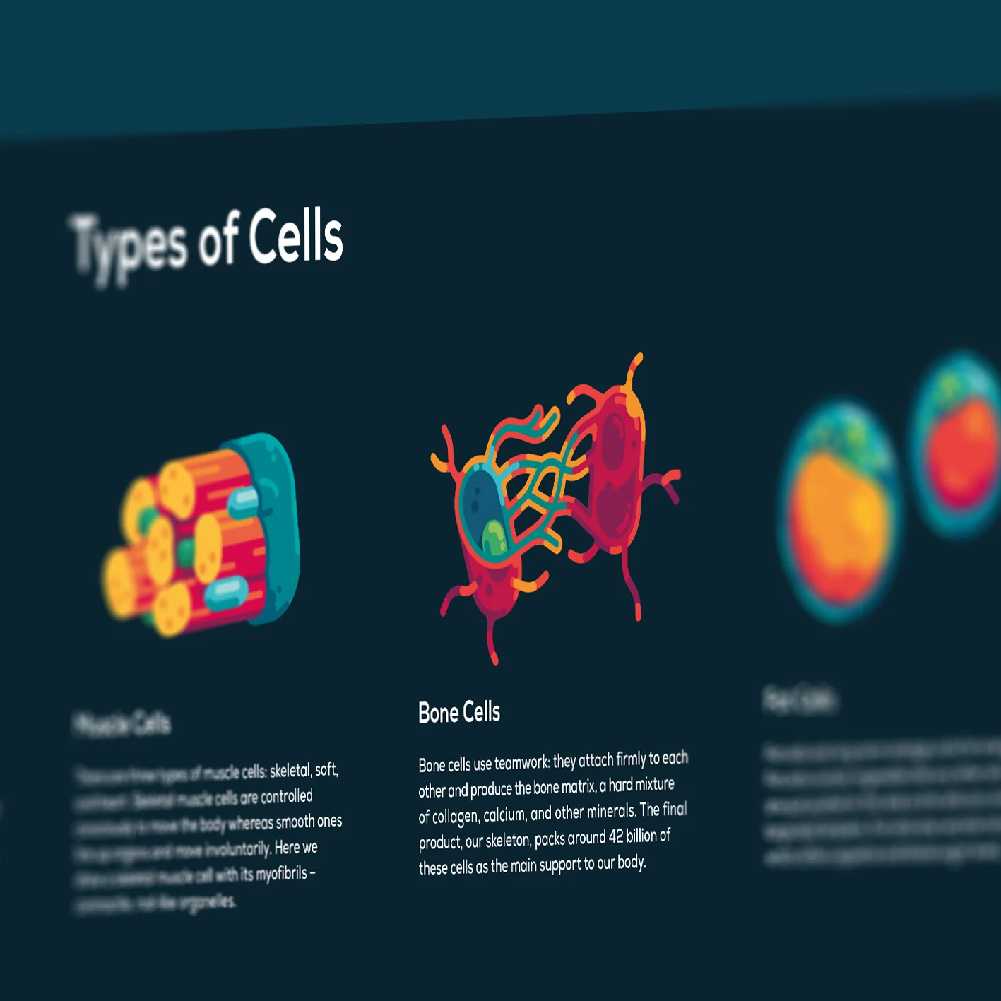 Human Cell Poster - Image 3