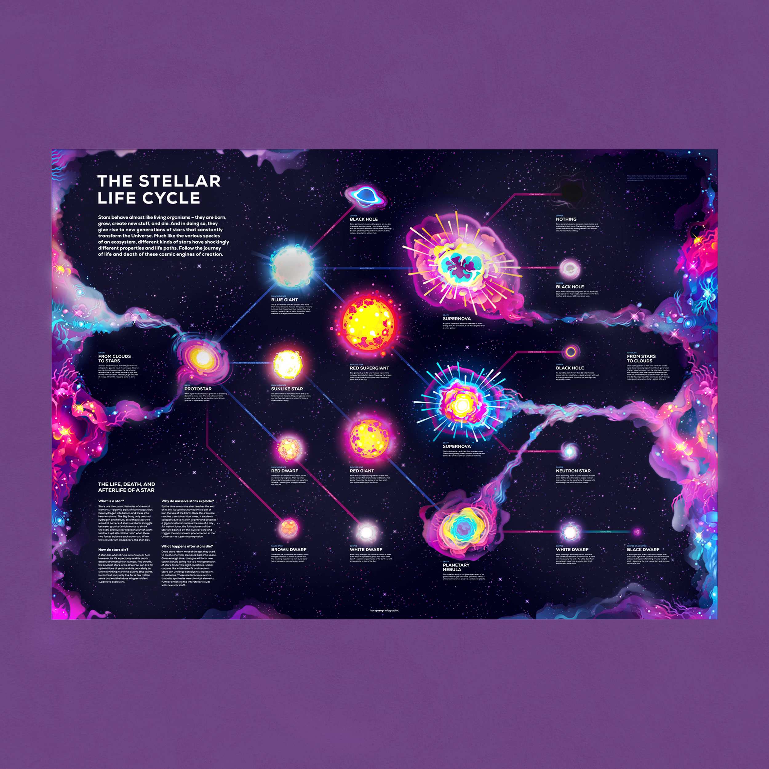 Stellar Life Cycle Poster - Image 3